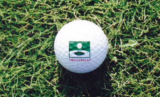 logo-huisstijl-ontwerp-golf-amelisweerd-06.jpg